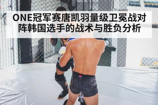MMA cage fight（kaiyun）